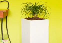 Pot De Fleurs En Polyéthylène Atlantis – 30 X 30 X 47 Cm -Outils De Jardinage bac a fleurs blanc 2