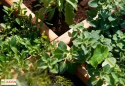 Carré Potager En Bois Autoclave Sur Pieds 80 X 80 Cm H. 88 Cm - Rezekne -Outils De Jardinage bac potager bois sureleve ekju 253394