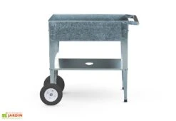 Carré Potager Sur Pieds Avec Roulettes - Barcelona -Outils De Jardinage carre potager argent culture