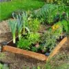 Carré Potager En Bois Douglas Non Traité Premium – 73 L -Outils De Jardinage carre potager bois douglas
