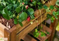 Carré Potager Sur Pieds En Bois Autoclave Brun - 75 X 75 X 79 Cm -Outils De Jardinage carre potager bois 1 1