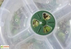 Cloche Potagère à Forcer Modulo ø35 Cm (lot De 3) -Outils De Jardinage cloche potagere modulo 2