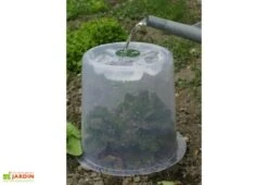 Cloche Potagère à Forcer Modulo ø35 Cm (lot De 3) -Outils De Jardinage cloche potagere modulo