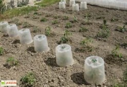 Cloche Potagère à Forcer Modulo ø35 Cm (lot De 3) -Outils De Jardinage cloche potagere modulo 3