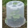 Cloche Potagère à Forcer Modulo ø35 Cm (lot De 3) 2 Cloche Potagère à Forcer Modulo ø35 Cm (lot De 3) -Outils De Jardinage cloche potagere modulo 35 polypropylene mini serre