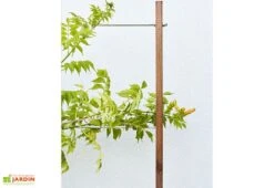 Jardinière Avec Treillis Lign Z (100x30x130cm) -Outils De Jardinage details treillis jardiniere bois