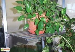 Étagère En Aluminium à Charge Lourde < 40 Kg Pour Serre Palram -Outils De Jardinage etagere aluminium charge lourde 40kg palram heavy duty shelf kit 4