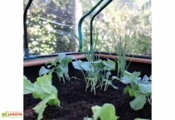 Axi Table De Culture En Bois De Hemlock + Bâche Plastique - 110 X 93 X 99 Cm -Outils De Jardinage interieur mini serre sur pieds bois