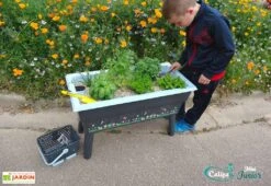 Jardinière Enfant Calipso Mini Junior + Panier Et Acc. – Bleu Pastel -Outils De Jardinage jardiniere enfant calipso 40l panier kajo 4l bleu pastel 2