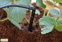 Kit D'irrigation Goutte à Goutte Pour Serre De Jardin Palram-Canopia 8 Kit D'irrigation Goutte à Goutte Pour Serre De Jardin Palram-Canopia -Outils De Jardinage kit irrigation serre palram 10m 1