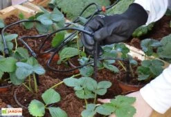 Kit D'irrigation Goutte à Goutte Pour Serre De Jardin Palram-Canopia 10 Kit D'irrigation Goutte à Goutte Pour Serre De Jardin Palram-Canopia -Outils De Jardinage kit irrigation serre palram 10m