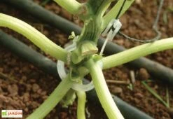 Kit De Palissage Pro Pour Serre De Jardin Palram -Outils De Jardinage kit palissage palram serre jardin trellising kit pro 3