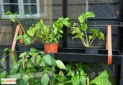 Mini Serre De Jardin En Verre Trempé – Juliana City -Outils De Jardinage mini serre jardin verre trempe aluminium juliana city 4