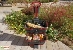 Chariot à Roulettes Avec Paniers De Récolte 15 L - Kajo