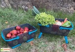 Paniers De Récolte Kajo 15L - 48 X 29 X 20 Cm (lot De 2) -Outils De Jardinage panier recolte kajo 15 bleu turquoise