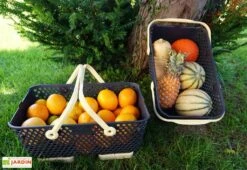 Paniers De Récolte Kajo 15L - 48 X 29 X 20 Cm (lot De 2) -Outils De Jardinage panier recolte kajo 15 jaune pastel