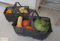 Paniers De Récolte Kajo 15L - 48 X 29 X 20 Cm (lot De 2) -Outils De Jardinage panier recolte kajo 15 prune
