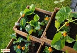 Carré Potager En Bois Autoclave à étages 4 Compartiments - 90 X 90 X 46 Cm -Outils De Jardinage plantes potager 4 compartiments