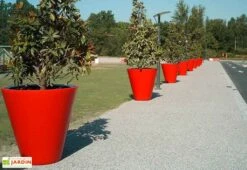 Pot De Fleurs En Plastique Colors Open L Simple Ou Double Paroi (Ø120 X 120 Cm)