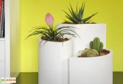 Pot De Fleurs En Polyéthylène Petalo - Ø 50 X 50 Cm -Outils De Jardinage pot de fleurs blanc 5