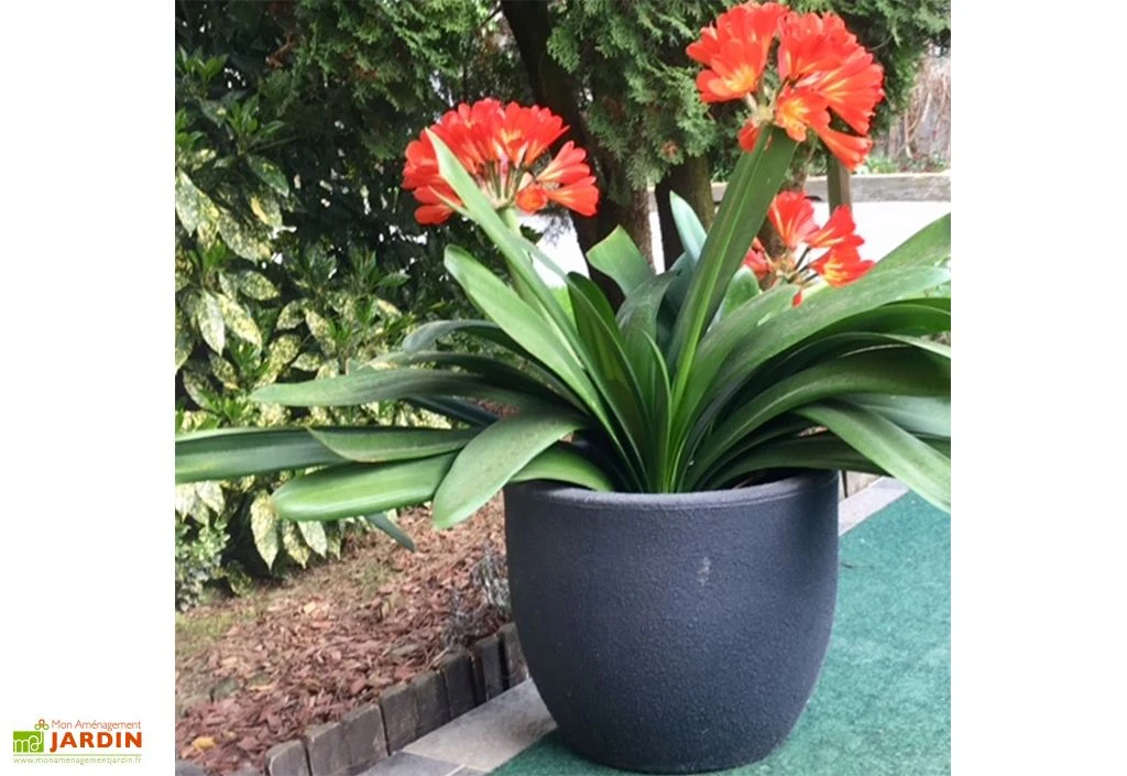 Roto Pot De Fleurs Extérieur En Polyéthylène Et Bois Ø30 X 25 Cm Rumba S 4 Roto Pot De Fleurs Extérieur En Polyéthylène Et Bois Ø30 X 25 Cm Rumba S – Image 2