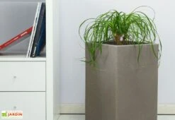 Pot De Fleurs En Polyéthylène Atlantis – 30 X 30 X 47 Cm -Outils De Jardinage pot de fleurs gris 6