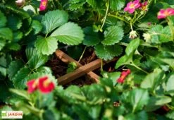 Carré Potager Sur Pieds En Bois Autoclave Brun - 75 X 75 X 79 Cm -Outils De Jardinage potager bois surelever 1