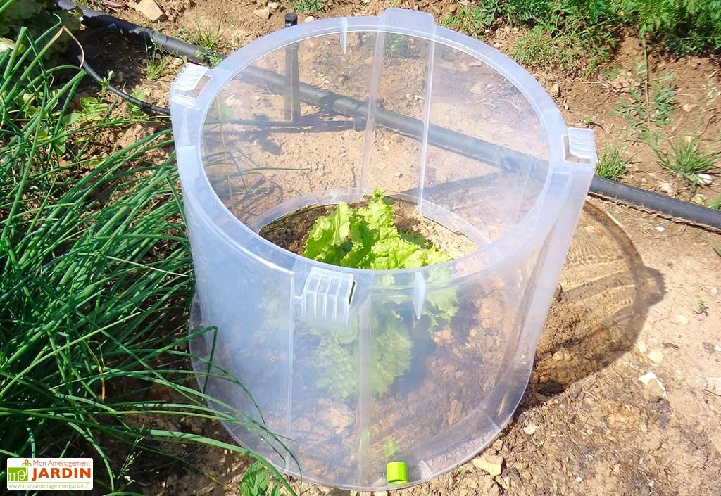 Rehausse Pour Cloche Potagère à Forcer Modulo ø35 Cm (lot De 3) 3 Rehausse Pour Cloche Potagère à Forcer Modulo ø35 Cm (lot De 3)