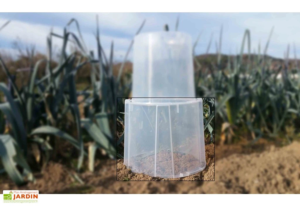 Rehausse Pour Cloche Potagère à Forcer Modulo ø35 Cm (lot De 3) 7 Rehausse Pour Cloche Potagère à Forcer Modulo ø35 Cm (lot De 3) – Image 5