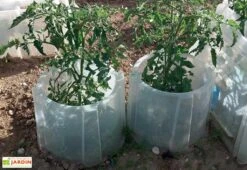 Rehausse Pour Cloche Potagère à Forcer Modulo ø35 Cm (lot De 3) 9 Rehausse Pour Cloche Potagère à Forcer Modulo ø35 Cm (lot De 3) -Outils De Jardinage rehausse pour cloche potagere a forcer modulo