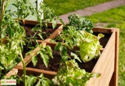 Carré Potager En Bois Autoclave Sur Pieds 120 X 80 Cm H. 88 Cm - Ventspils 11 Carré Potager En Bois Autoclave Sur Pieds 120 X 80 Cm H. 88 Cm - Ventspils -Outils De Jardinage separateur bac potager bois ekju 253478