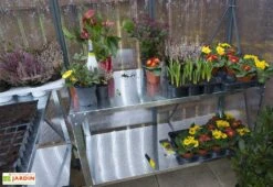 Serre De Jardin En Aluminium Et Polycarbonate Glory 4,7 M² - Grise -Outils De Jardinage serre jardin aluminium polycarbonate glory 4 7 m 3