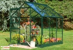 Halls Serre De Jardin En Aluminium Et Verre Popular 66 (3,8 M²) -Outils De Jardinage serre jardin aluminium verre popular 66 38m 1