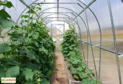 Serre De Jardin Tunnel En Polycarbonate Et Acier -Outils De Jardinage serre jardin tunnel interieur