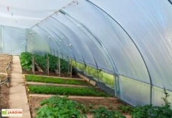 Serre Tunnel En Acier Et Polyéthylène Bretagne Avec Aérations – Largeur 5,80 M -Outils De Jardinage serre tunnel acier polyethylene bretagne aerations largeur 580m