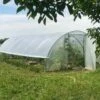 Serre Tunnel Tonneau En Polyéthylène 40 M² - Gothique 9 X 4,5 M -Outils De Jardinage serre tunnel gothique tonneau polyethylene 9x4 5m