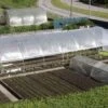 Serre Tunnel Tonneau En Polyéthylène 39 M² - Mini 10,5 X 3,7 M -Outils De Jardinage serre tunnel mini 3 7x10 5