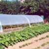 Serre Tunnel Tonneau En Polyéthylène 44 M² - Mini 12 X 3,7 M -Outils De Jardinage serre tunnel mini 3 7x12