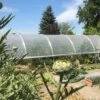 Serre Tunnel Tonneau En Polyéthylène 44 M² - Mini 12 X 3,7 M -Outils De Jardinage serre tunnel mini tonneau polyethylene 12m