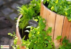 Spirale Aromatique – Jardinière En Bois De Mélèze Ø55 Cm -Outils De Jardinage spirale aromatique jardiniere bois 55cm