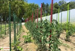 Tuteur Avec Attaches Mikado Vert Foncé 150 Cm (Lot De 6) 6 Tuteur Avec Attaches Mikado Vert Foncé 150 Cm (Lot De 6) -Outils De Jardinage tuteurs tomates colores plastique 150cm