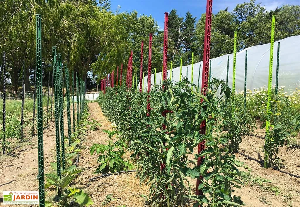 Tuteur Avec Attaches Mikado Vert Foncé 150 Cm (Lot De 6) 4 Tuteur Avec Attaches Mikado Vert Foncé 150 Cm (Lot De 6) – Image 2